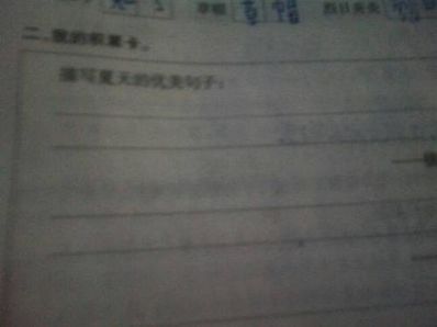 描写坐船的优美句子 写坐船的作文400字要有好词佳句