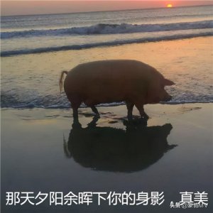 ​下雨天伤感的心情句子迷，关于下雨天的个性签名文案