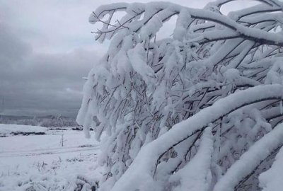 ​描写雪景的句子优美段落 描写雪景的唯美句子短句