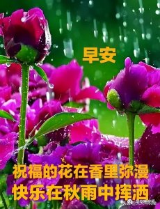 ​温馨的句子唯美短句（经典温馨问候祝福短语精选，清晨唯美漂亮祝福图文短句）