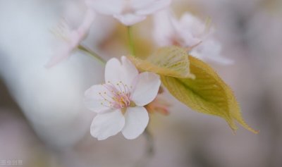 ​用心感受生活唯美句子治愈系文字 抚慰心灵