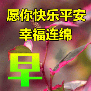 ​发送给朋友早安的暖心短句