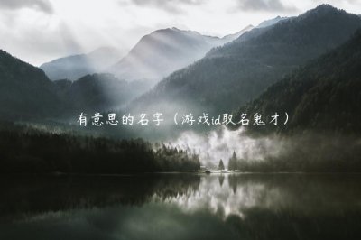 ​有意思的名字（游戏id取名鬼才）