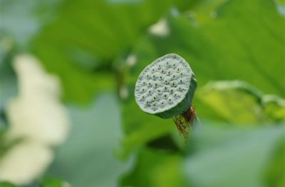 ​撕心裂肺的网名(185个)