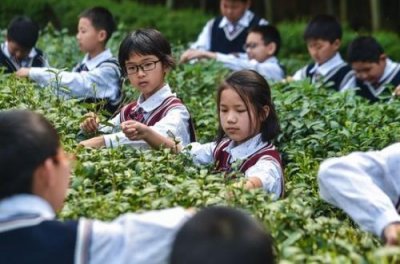 ​关于下雨的说说 下雨的有意境的短句子59句