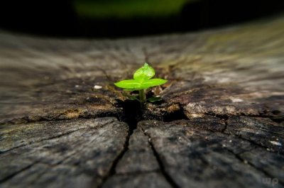 ​早上正能量句子干净简短能吸引人（早上好！正能量的说说句子，句句说到心坎里