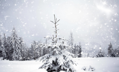 ​发朋友圈下雪幽默句子有哪些（朋友圈发下雪了简单说说 搞笑幽默句子说说）