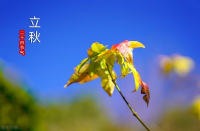 ​入秋了发朋友圈的说说短句子（立秋发的朋友圈句子：暑去秋来，奔向未来）