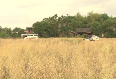 ​关于让男人散发荷尔蒙的句子 让男生荷尔蒙飙升的话